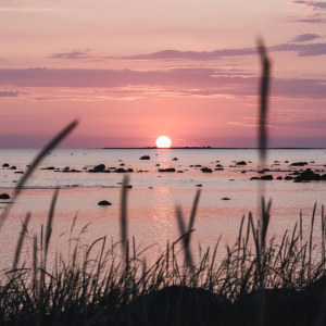 Täna õhtul tasub pilk taevasse tõsta! ☀️

Kell 20.02 algab osaline päikesevarjutus, mille kõrghetkel kell 20.53 katab Kuu ligi 80% päikesekettast.

Kus sina plaanid päikesevarjutust vaadelda?

Kui ilm lubab ja lähed varjutust vaatama, kasuta kindlasti silmade kaitset, näiteks CD-plaati või keevitusprille. Hea nipp on varjutust jälgida ka kaudselt nõelaugu või sõela abil paberile või maapinnale projitseerituna.

📸 Priidu Saart / Toolbox Estonia

