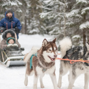 Kas otsid tõelist põhjamaist elamust? Harjumaal, Anija kandis, saad selle kätte kohe ja päris lähedalt! 

🐾Paasiku koertemõis / Paasiku dogs manor 
🐾Small Lapland 

Mõlemas koertetalus ootavad sind sõbralikud, energilised ja rõõmsad kelgukoerad, kes on praeguste lumiste ilmade üle sama elevil kui sina! 

Siit saad veel lisa lugeda: https://puhkaeestis.ee/et/mida-teha/kelgukoertega-soitma-seda-saab-teha-igal-aastaajal
Harjumaa liigub- talvel saaniga! 

📷 Puhka Eestis/Sirli Mangus

