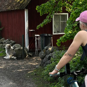 Prangli saar Tallinna külje all on Eesti üks vanimaid asustusega väikesaari ja säilinud aastasadade pikkune kaluriküla kultuur. 

Prangli on suvel aktiivne sündmuste poolest. Sel nädalalõpul 13-15. augustil toimuvad Prangli saarel loovuspäevad. 
🎨 https://fb.me/e/9dRSOFJQ2 

Kui soovid veel uudistada, siis külasta Prangli Saarte Muuseumi! 

Saarele saab Viimsi kandist Leppneeme sadamast tunnise laevasõiduga. Laevapiletid mugavalt siin: https://www.sunlines.ee/ 
või 
uuri ülevedu Prangli Reisid/Prangli Travelilt 
Võta kaasa jalgratas või tule üle ilma, sest saarel saab otse sadamast rentida jalgrattaid või sõita veoautokastis.   

Süüa saab Prangli Saare-Resto ja Baaris või KoduSadama kohvikus. 

Kombineeri rand-kultuur-käsitöö-saareseiklus- kõlab nagu plaan!? 😎
  
Foto: Prangli Reisid

