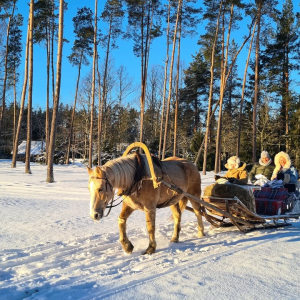 Talv pakub ehtsaid elamusi – koge mõnusat saanisõitu läbi lumiste metsade! ❄️

🛷Mustjõe Kõrtsitalu https://www.facebook.com/mustjoetalu  Anija vallas kutsub nautima traditsioonilist talverõõmu ning pakub saanisõite, mida saab broneerida isegi 1-tunnise etteteatamisega – ideaalne spontaanseks talveseikluseks! 

🛷OÜ Hobuteenused (Kalaoja talu)Hingu külas Saue vallas on samuti armastatud talvise tegevuse pakkuja, kus saab nautida talvist loodust saanil kogu perega.

Harjumaa liigub- talvel saaniga! ❄️
📷 Mustjõe Kõrtsitalu

