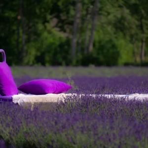 Kas oled kunagi seisnud keset lõhnavat lavendlivälja? 💜

Harju-Risti lähedal Hatu külas ootab sind Sootsu Lavendel – kaunilt lilla suvepeatus, kus saab nautida lavendlipõllu ilu, teha imelisi fotosid ja avastada kohalikke lavendlitooteid. Ka praegu näitab lavendel oma erksaid sinakaslillasid toone!

Kas leiad põldude vahelt lilla voodi, klaveri ja vanni?

Loe Sootsu Lavendlitalu kohta ka Postimehe artiklist 👉 https://60pluss.postimees.ee/8523405/eesti-harju-risti-kaunilt-lilla-silmailu-ja-eesti-vanim-maakool 

#sootsulavendel #visitharju #harjuristi #puhkaeestis







