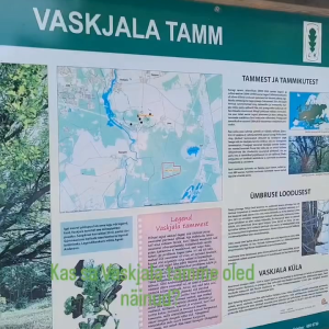 Uudista väikese väljasõiduga Tallinna lähiümbrust. Külasta ajaloolise Vaskjala küla kohti. 🌳

