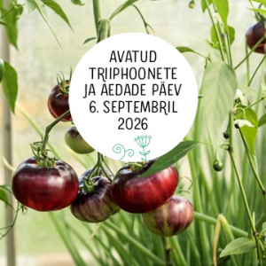 🍇 Põhja-Eesti avatud triiphoonete, aedade ja verandade päev juba tuleva nädalavahetuse pühapäeval. 

Kas oled külastanud 
Linnutee Puhvetit,
ÖKO-SPA Harmoonikumi,
Ravila Mõis / Ravila Manor,
Viinistu Kunstimuuseum,
Kõnnu Viinaköök kunstigaleriid ? 
Lisaks veel palju külastuskohti...

Võta kaasa pere ja sõbrad, vali kaardilt oma lemmikpaigad ning veeda mõnus sügispäev mööda kaunist Põhja-Eestit kulgedes.
Uuri lisa https://fb.me/e/5eepMTrC1 

#visitharju Põhja-Eesti kohalik toit

