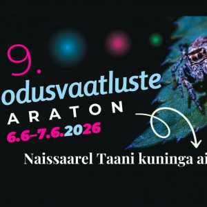 Harjumaa saared ja loodusrajad kutsuvad suve avastama 🌿

Naissaar on palju enamat kui kaunid rannad ja männimetsad – siin kohtuvad loodusvaatlused, põnevad legendid, rannarootslaste pärand ja saare militaarajalugu. 6. juunil saad Naissaart avastada giidiga loodusmatkal „Loodusvaatluse maraton Naissaarel“.

Kui aga sind köidavad haruldased taimed, siis 13. juunil toimub Orhideeliste vaatlusretk, kus otsitakse ja tutvustatakse Eesti looduse põnevaid liike. Kaunis kuldking on tuttav paljudele, aga kas tead, millised näevad välja soohiilakas, püsiksannikas või soojumikas?

Võta aeg maha, pane mugavad jalanõud jalga ja tule avasta Harjumaa looduse väikeseid imesid!

👉 Loodusvaatluse maraton Naissaarel 06.06: https://fb.me/e/4qceQWwT7 
👉 Orhideeliste vaatlusretk 13.06: https://fb.me/e/3PxFlZ9Fh 

#visitharju #visitnaissaar








