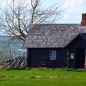 Tule talgutele Harjumaale – teeme koos head ja veedame mõnusalt aega!

Visit Harju kutsub sind appi meie piirkonna külastuskohtadesse – talgud on suurepärane võimalus panustada, liikuda värskes õhus ja veeta aega toredas seltskonnas.

📍 25.04 Kostivere karstiala – Teeme Ära talgumatk, kus panustamisele järgneb ühine matk. Sündmus sobib ka lastele!
👉 https://www.facebook.com/events/2067038883873271

📍 30.04 Viimsi vabaõhumuuseum – talgupäev, kus saab riisuda ja puid laduda. Päev lõpeb mõnusa mailõkke ja traditsioonilise talgusupiga.
👉 https://www.facebook.com/events/1280854404026839

📍 02.05 Padise klooster – oodatakse abikäsi, et ajalooline paik saaks hooajaks korda ja külalistele väärikas välja näha.
👉 https://www.facebook.com/events/2256516001423339

📍 02.05 Koristusmatk Anija piirkonnas Kaunissaare veehoidlast kuni Kehrani. Tähendusrikas ja samas põnev koristusmatk täispuhutavate raftide ja kanuudega. 
👉https://www.facebook.com/events/1475679210758458

Talgud ei ole ainult töö – see on kogukonnatunne, värske õhk ja ühised elamused. 

Foto: Viimsi Vabaõhumuuseum, Maret Põldveer

